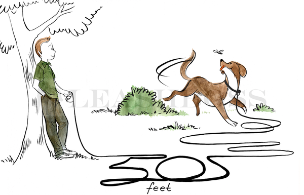 Train Your Dog Invisible Boundaries Leashboss