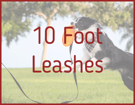 10 Foot Leashes