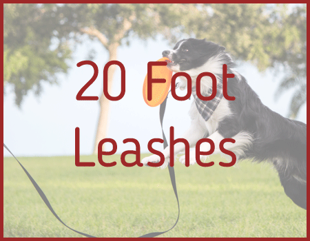 20 Foot Leashes