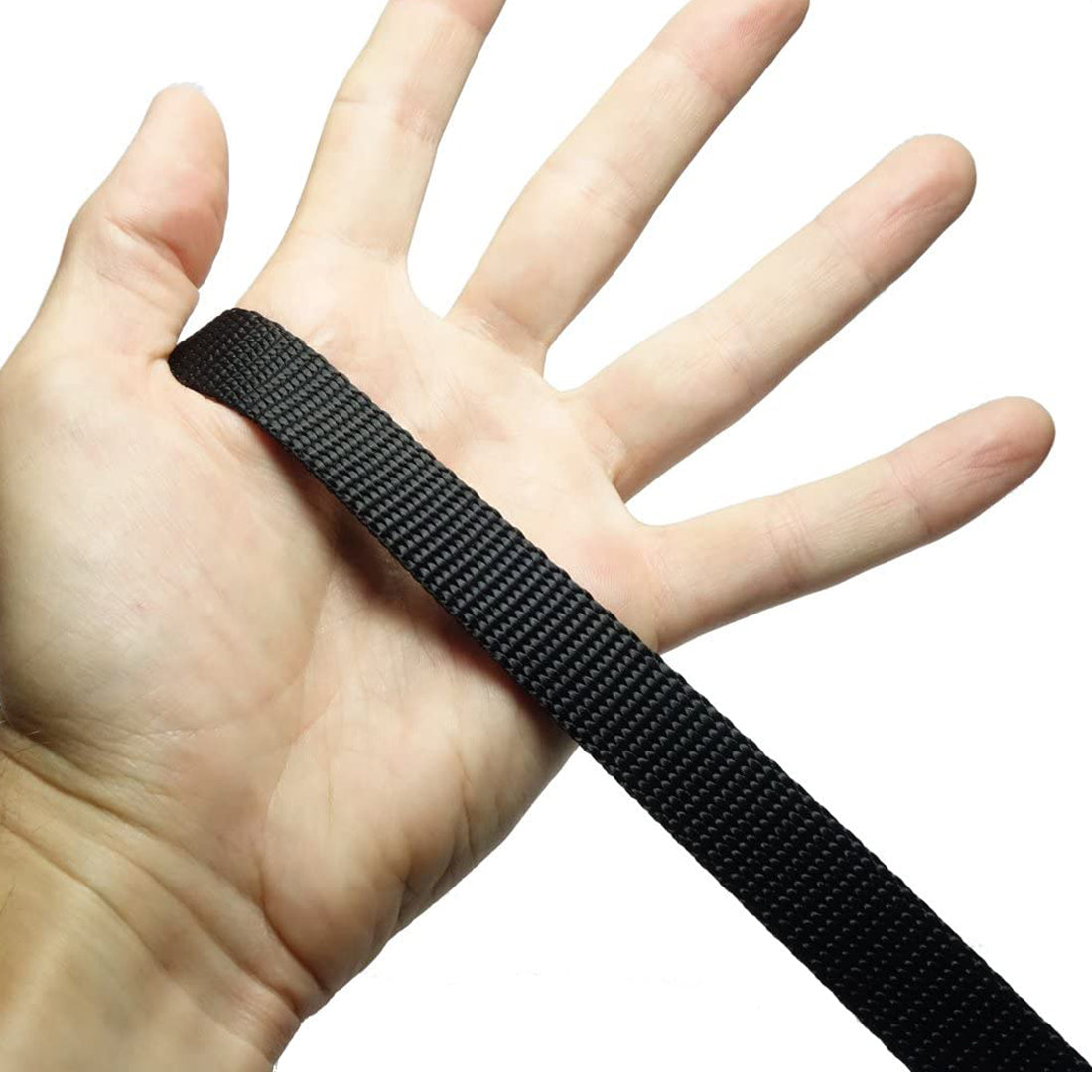 10 Foot 3/4 Inch Dog Leash with Padded Handle