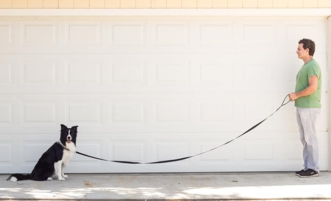 Enhance dog walks with our premium 15-foot 3/4-inch dog leash featuring a padded handle for comfort. Crafted for durability and control, this leash ensures a secure grip during outdoor adventures. Elevate your canine companionship with our expertly designed, SEO-optimized leash for a seamless and enjoyable walking experience.