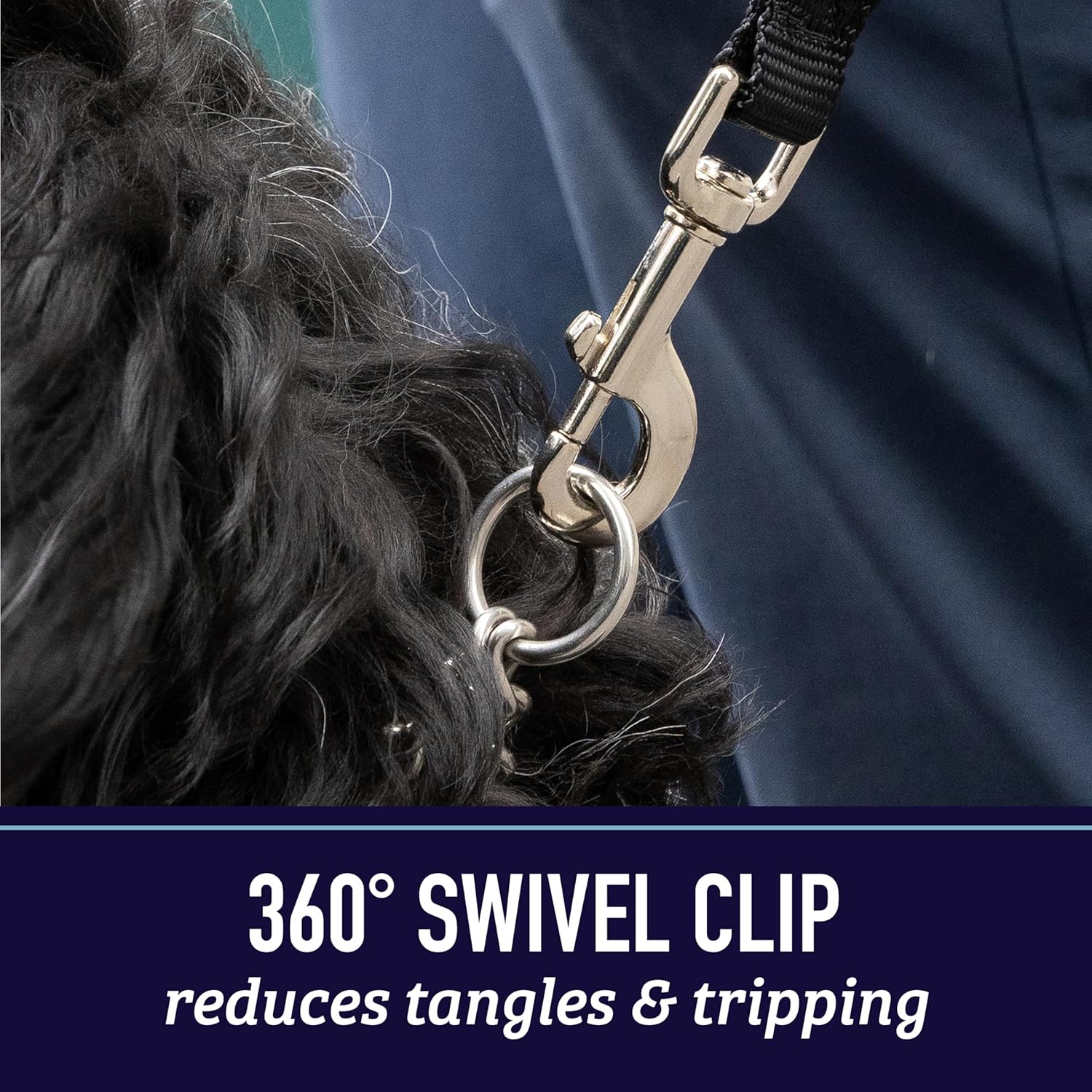 Dog Leash with Padded Handle