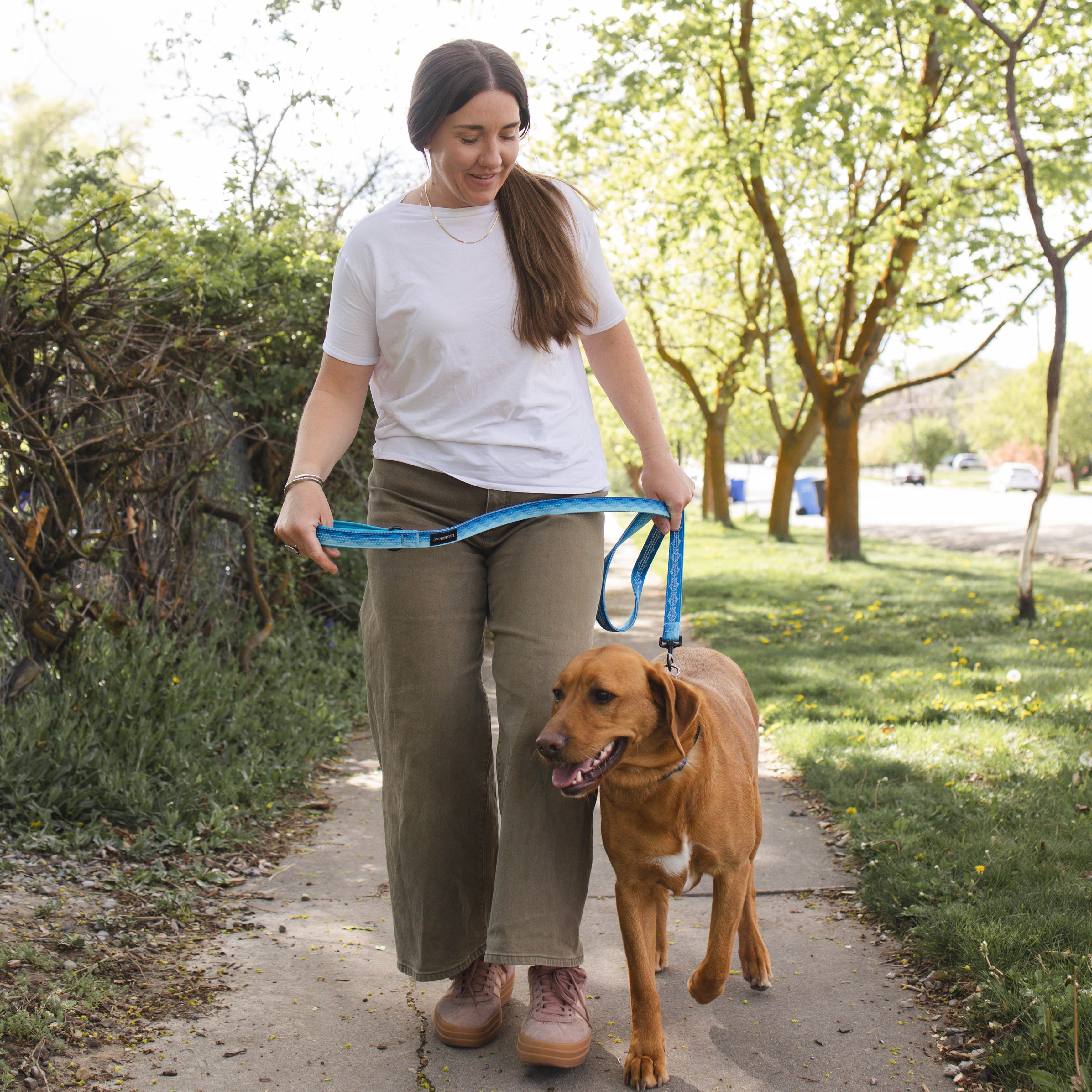 6-ft Reflective Dog Leash