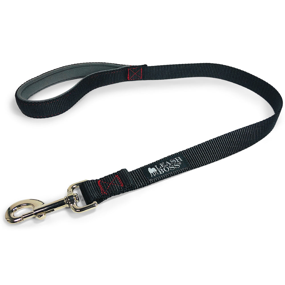 Padded dog leash best sale