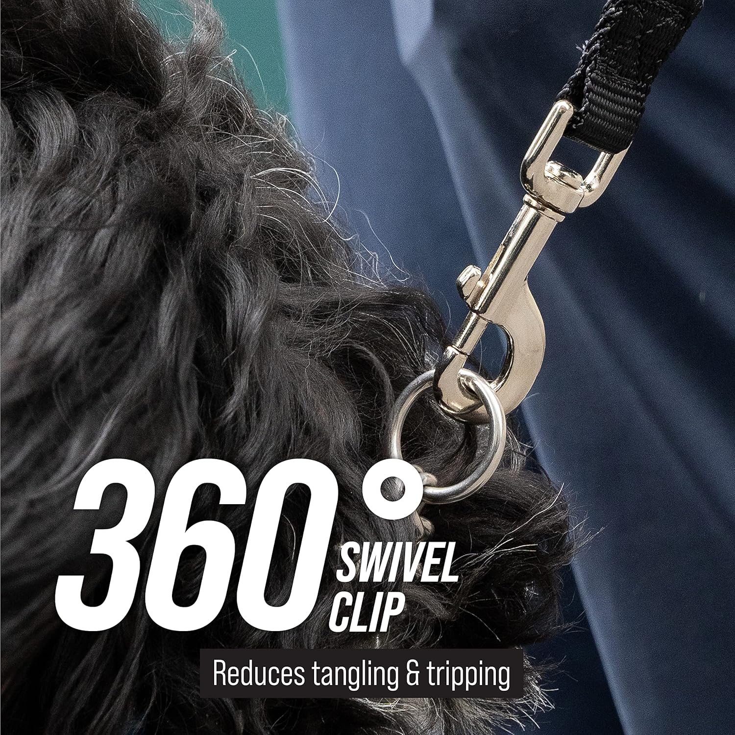 Free Range 3/4" - 30 Foot Dog Leash - Nylon Training Lead for Large Dogs