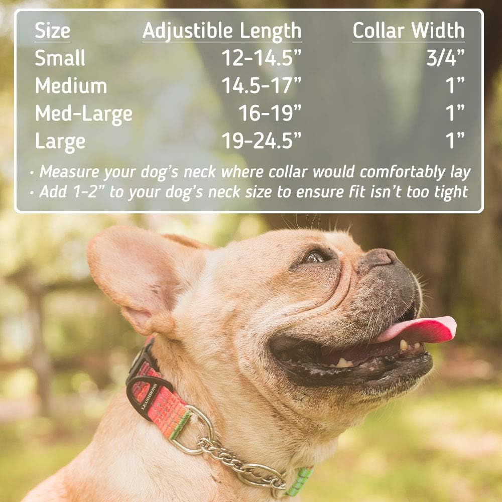 Chain Martingale Dog Collar