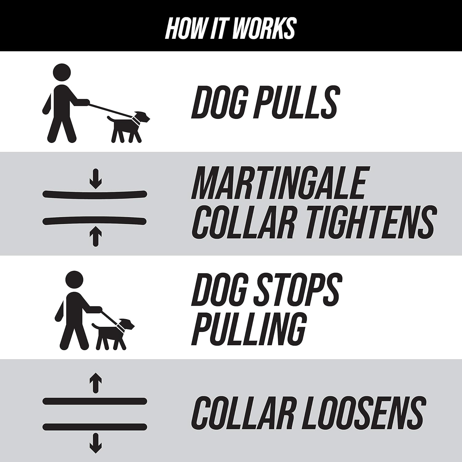 Martingale Dog Collar - Solid Collection