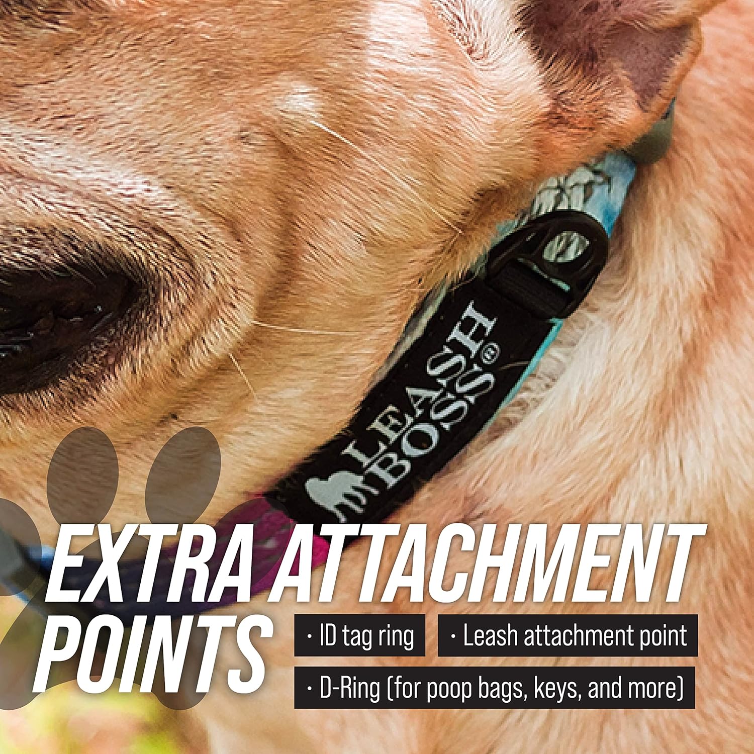 Martingale Dog Collar - Solid Collection