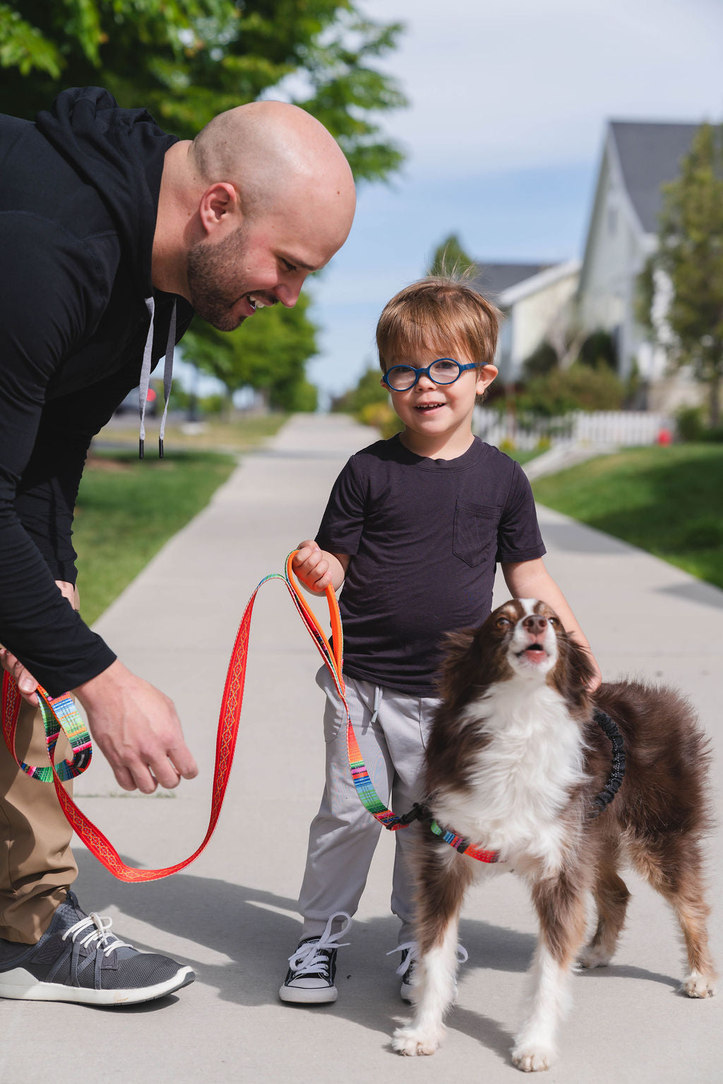 Two Handle Dog Leash