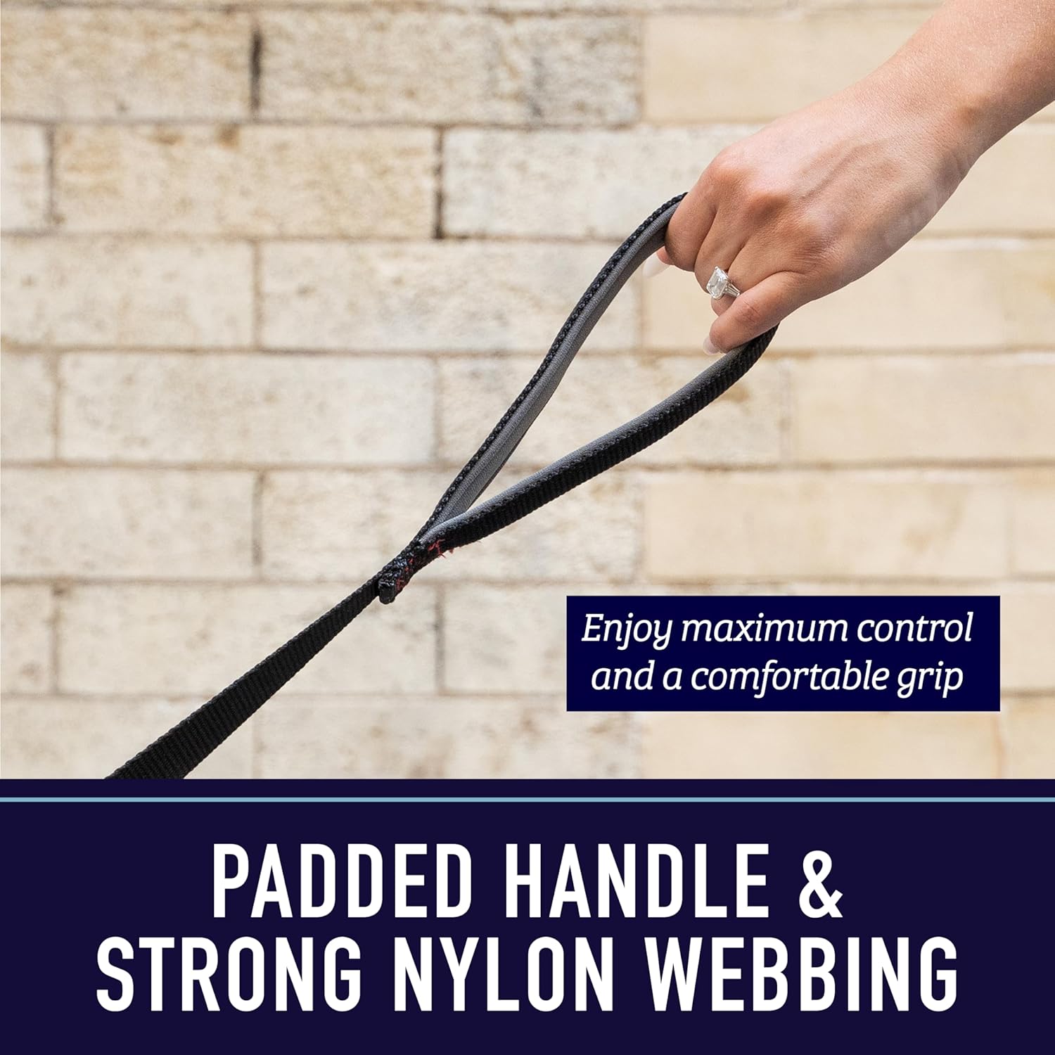 XL Dog Leash with Padded Handle