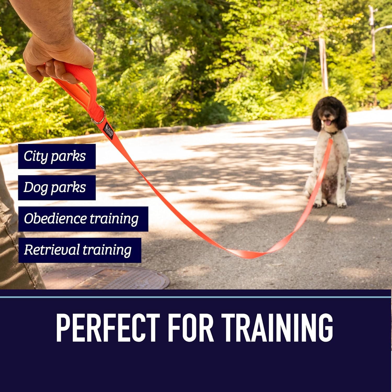 Dog Leash with Padded Handle