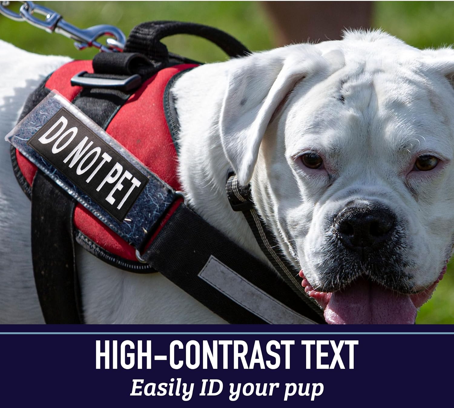 Embroidered "Service Dog" Patches with Hook/Loop