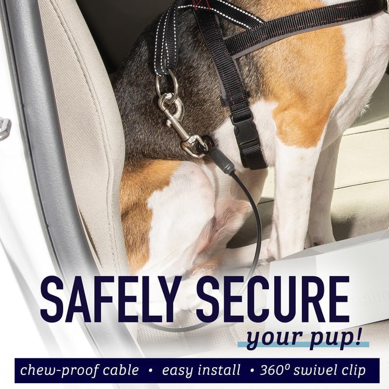 Chew-Proof Dog Car Seatbelt