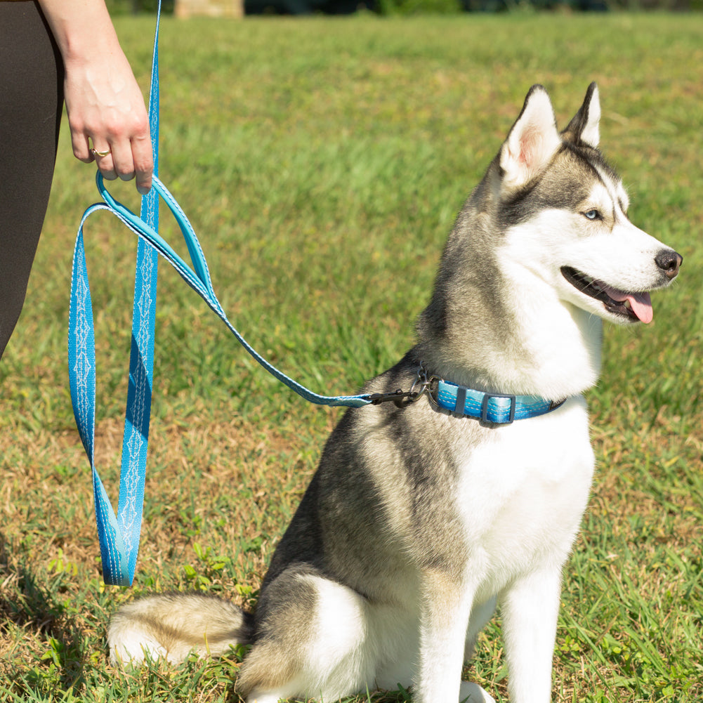 nhance your dog walking experience with the Leashboss Double Handle Dog Leash from the Pattern Collection. This 6Ft Reflective Dog Leash is ideal for large or medium dogs that pull. Featuring two padded handles, it ensures comfort and control, making walks safer and more enjoyable. Upgrade your pet gear today.