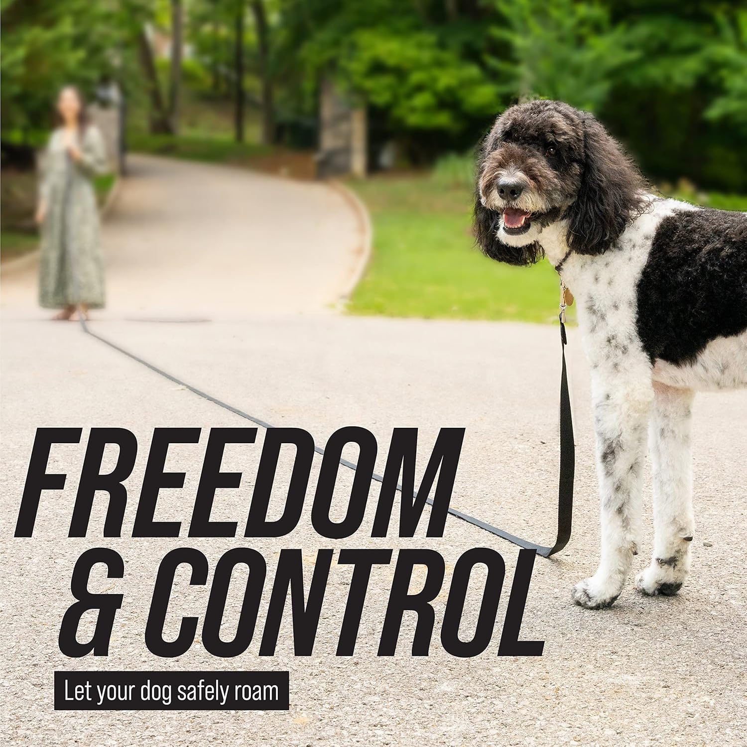 Free Range 3/4" - 30 Foot Dog Leash - Nylon Training Lead for Large Dogs
