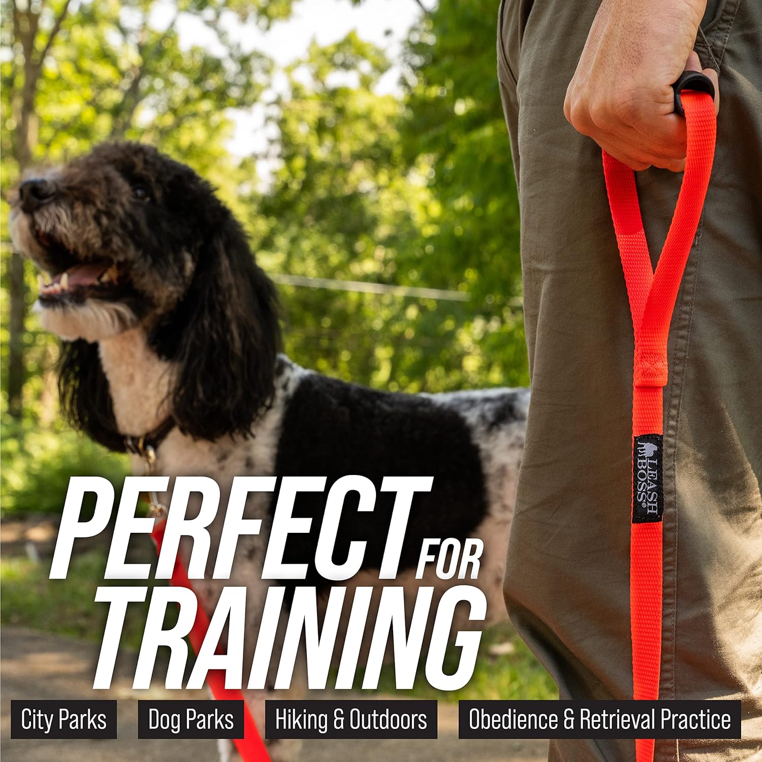 Free Range 3/4" - 30 Foot Dog Leash - Nylon Training Lead for Large Dogs