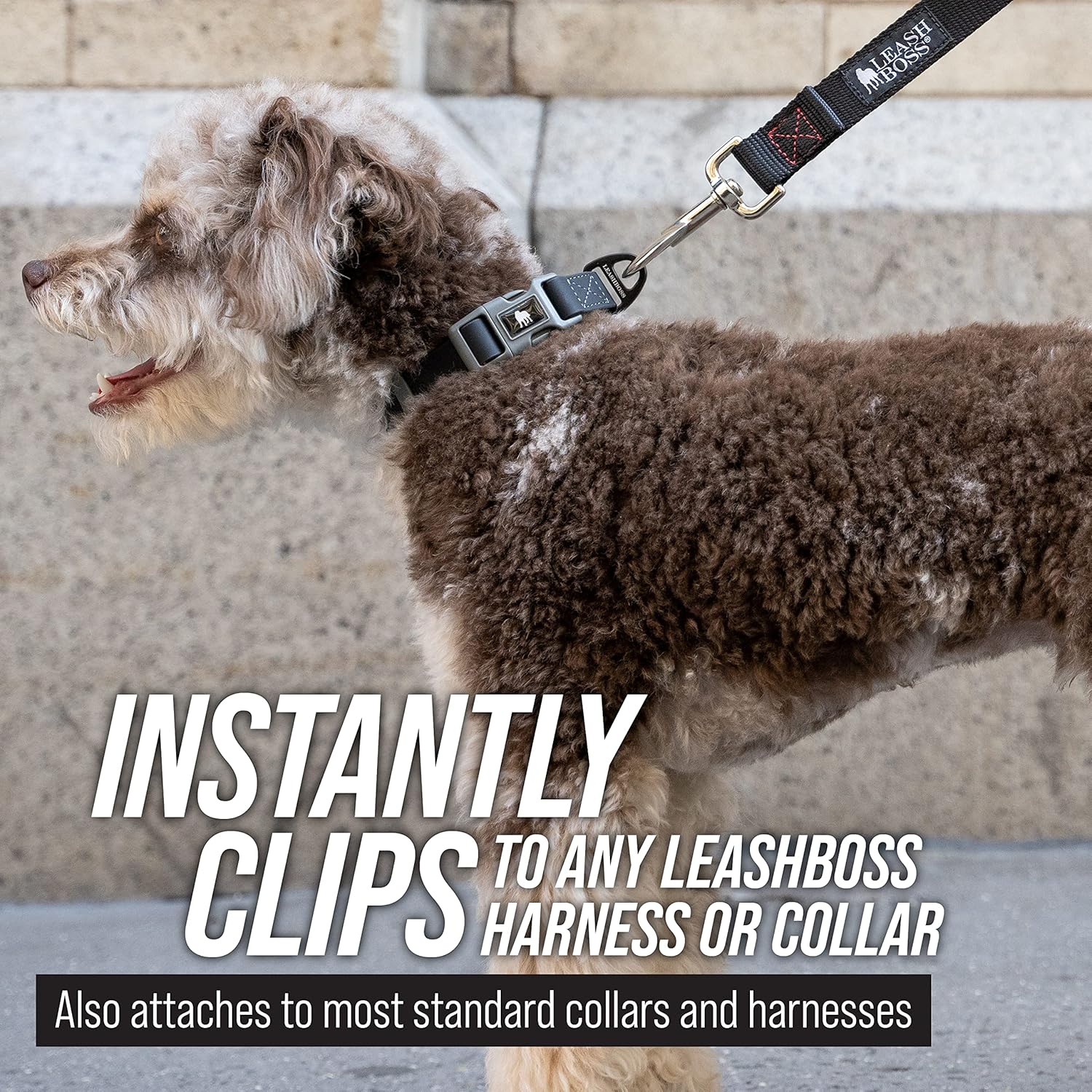 Free Range 3/4" - 30 Foot Dog Leash - Nylon Training Lead for Large Dogs