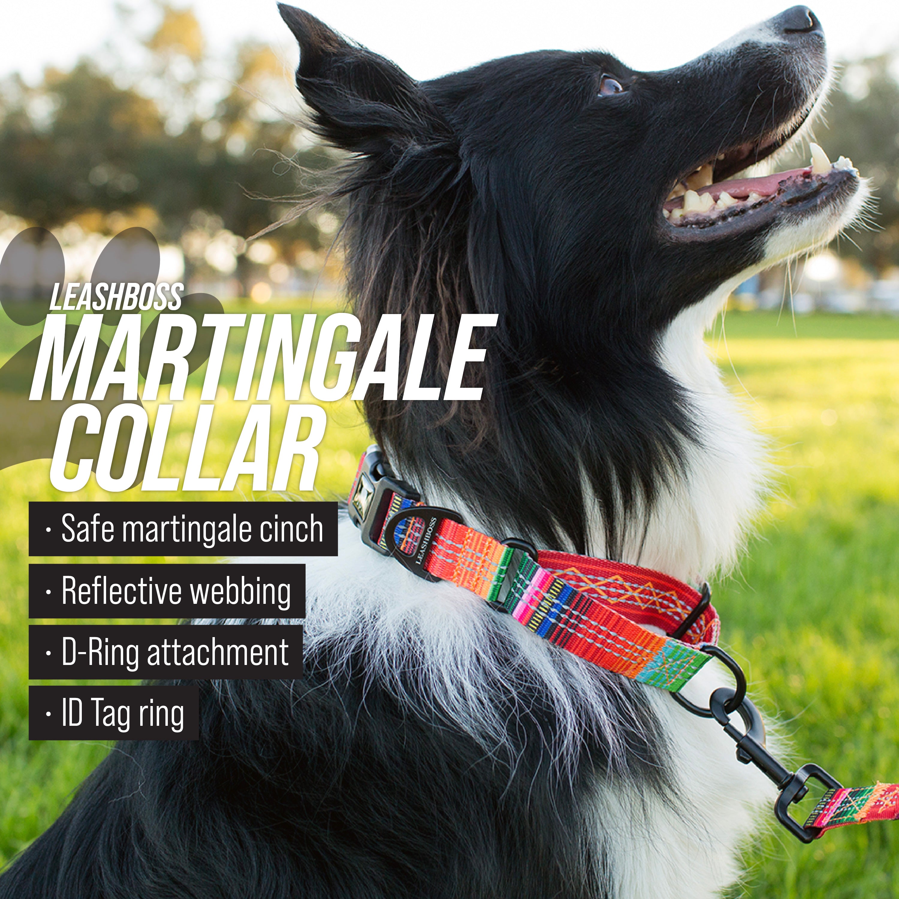 Martingale Dog Collar