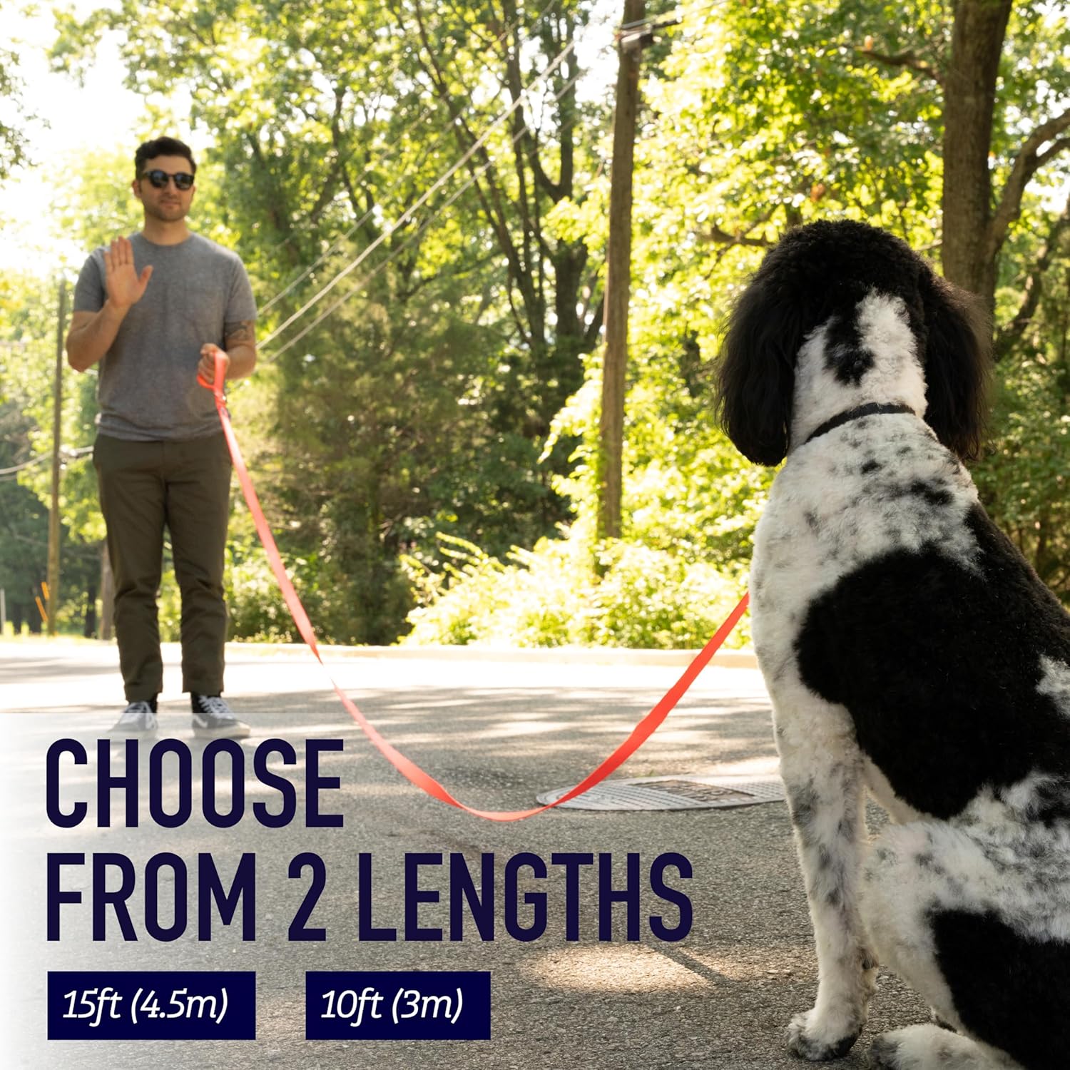 XL Dog Leash with Padded Handle