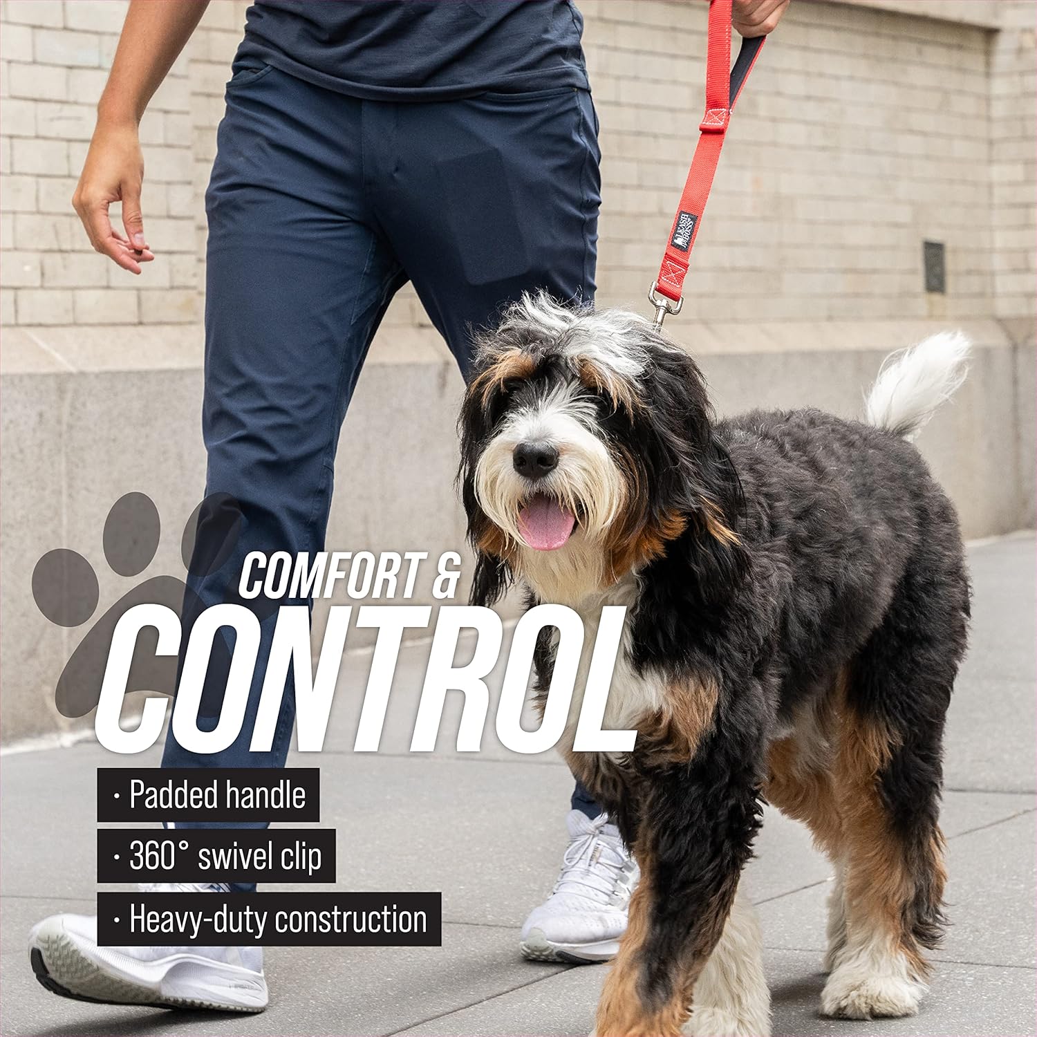 Short Dog Leash with Padded Handle