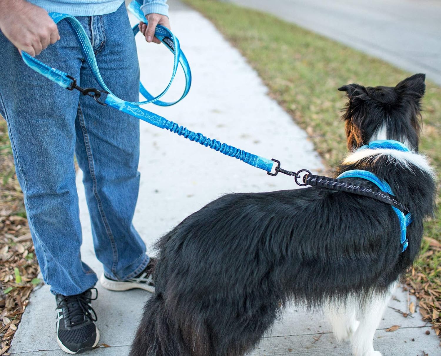 Shock-Absorbing Bungee Leash Extender