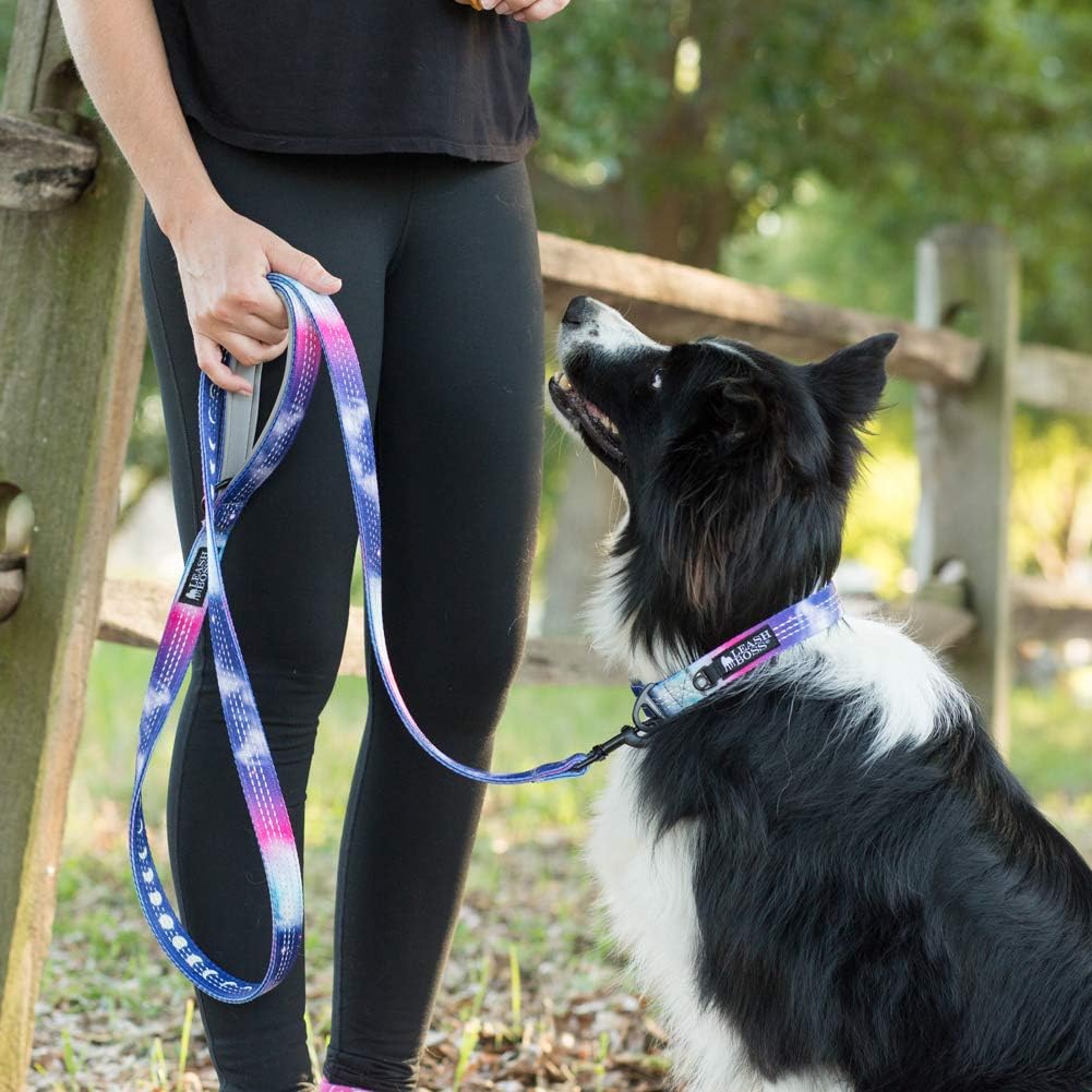 Double-Thick 6 Foot Reflective Leash with Padded Handle - Pattern Collection