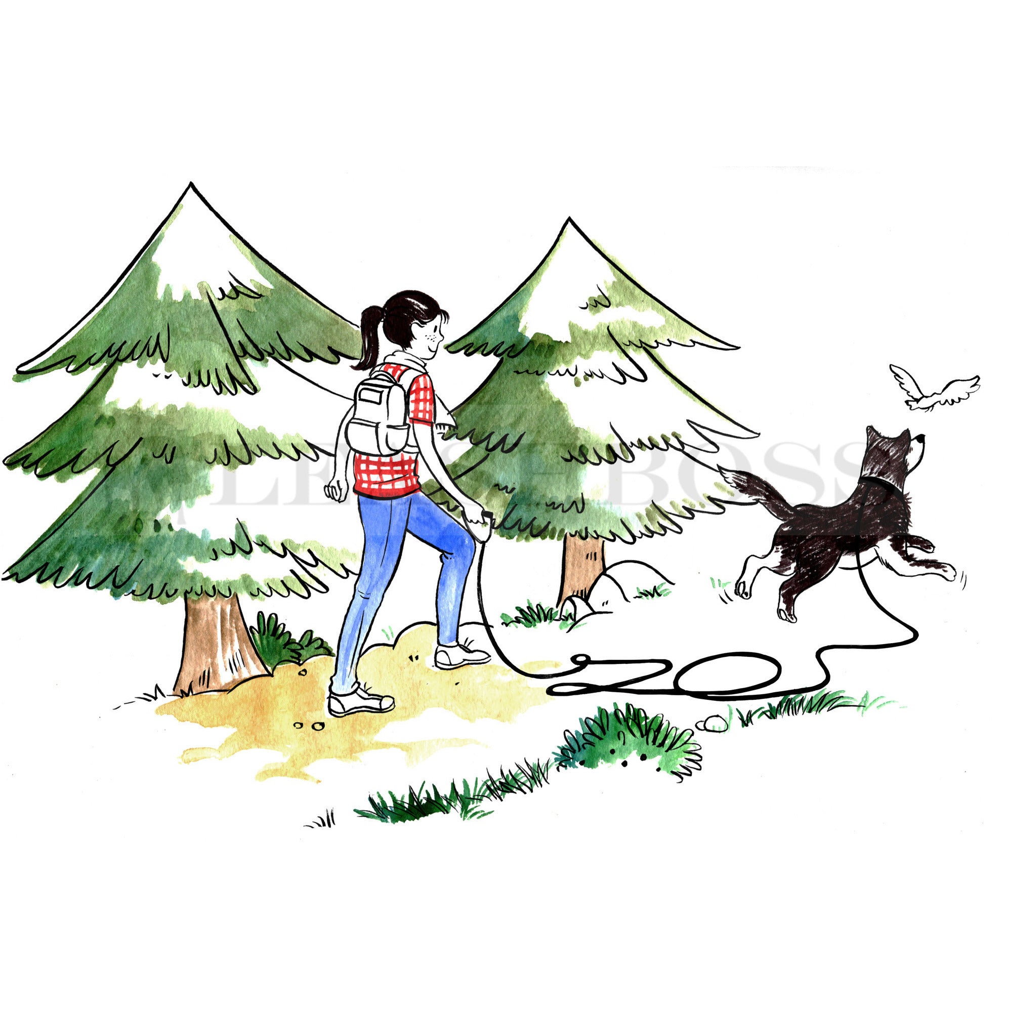 Free Range 1" - 20 Foot - Heavy Duty Training Leash for Large Dogs
