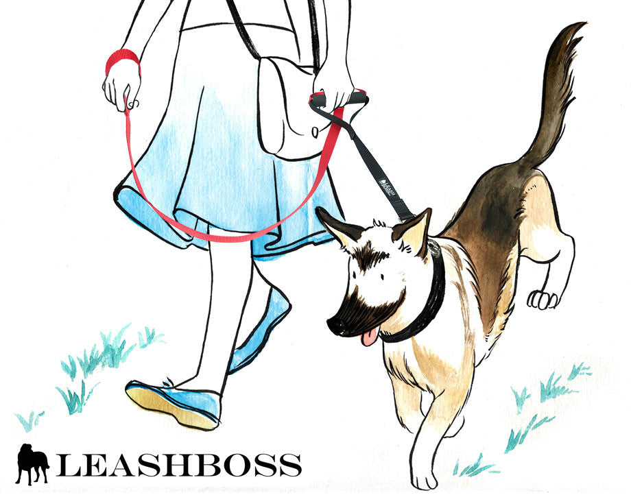 Leach Boss Difference between Leashboss Original and Leashboss Lite – Leash Boss