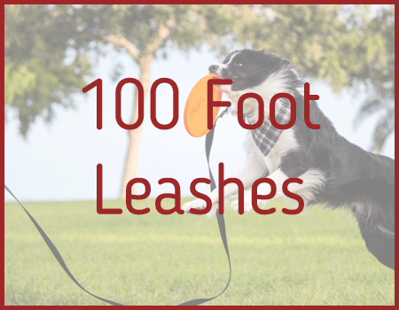 100 Foot Leashes