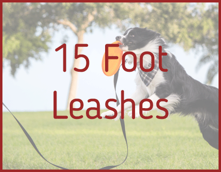 15 Foot Dog Leashes