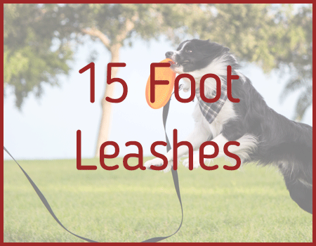 15 Foot Leashes