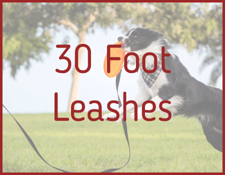 30 Foot Leashes