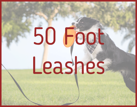 50 Foot Leashes
