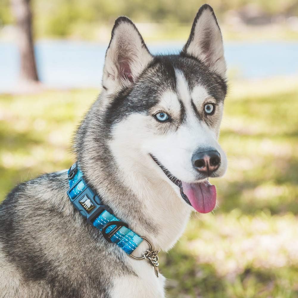 &quot;Adjustable, heavy-duty dog collar by Leash Boss with a durable metal buckle, designed for strength and comfort. Available in various sizes, colors, and patterns to suit all breeds and styles.