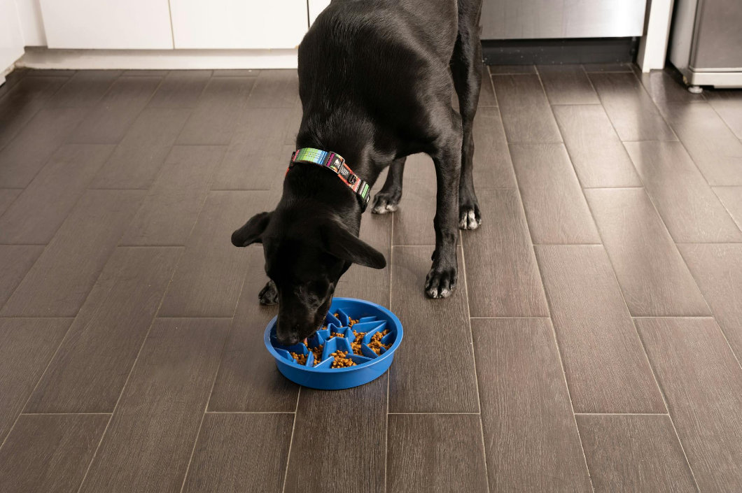 Durable Leashboss dog bowl and slow feeder, designed to prevent overeating, shown with food to promote healthy eating habits for pets of all sizes.