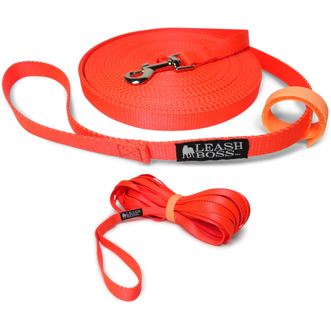 long recall dog leash orange