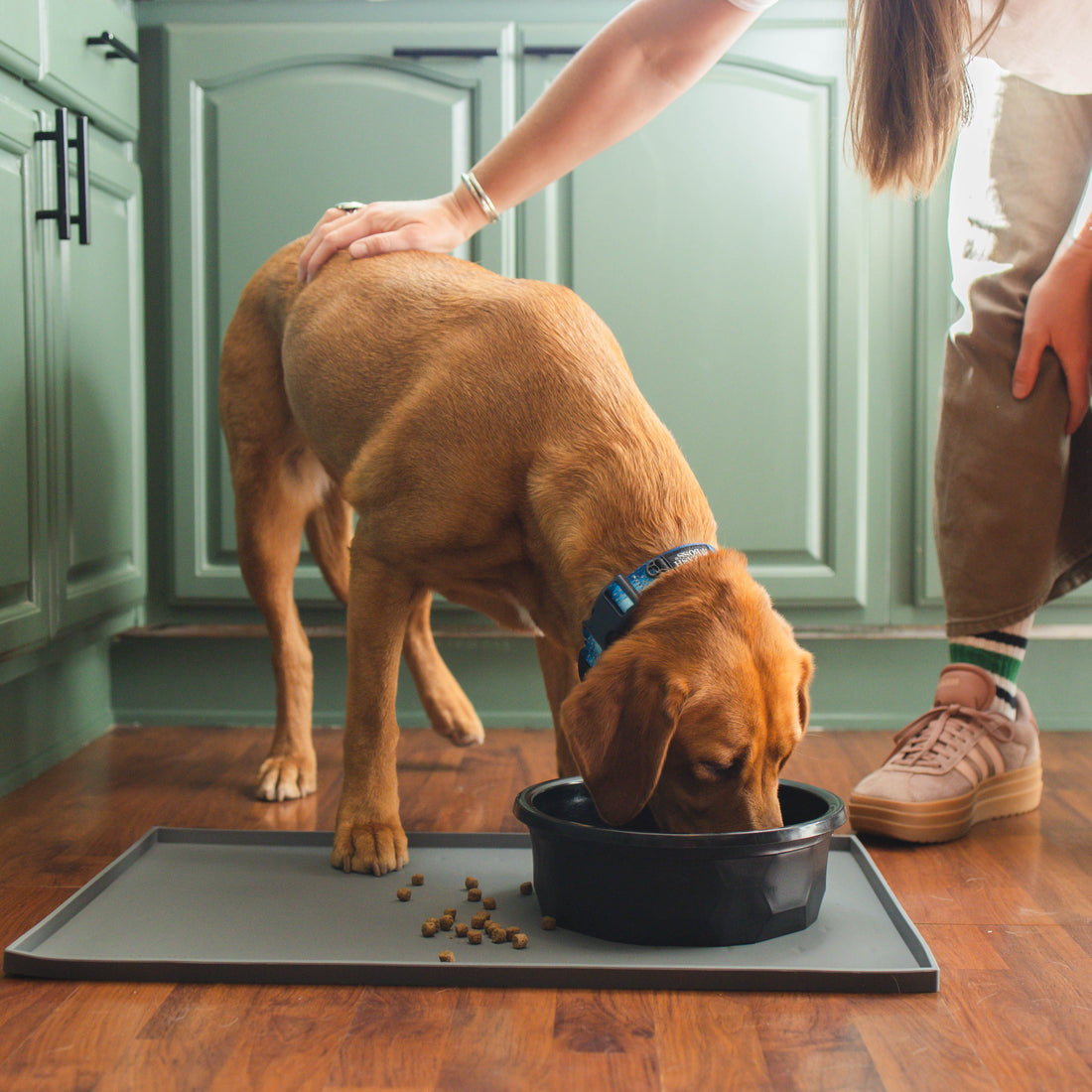 Silicone Dog Food Mat