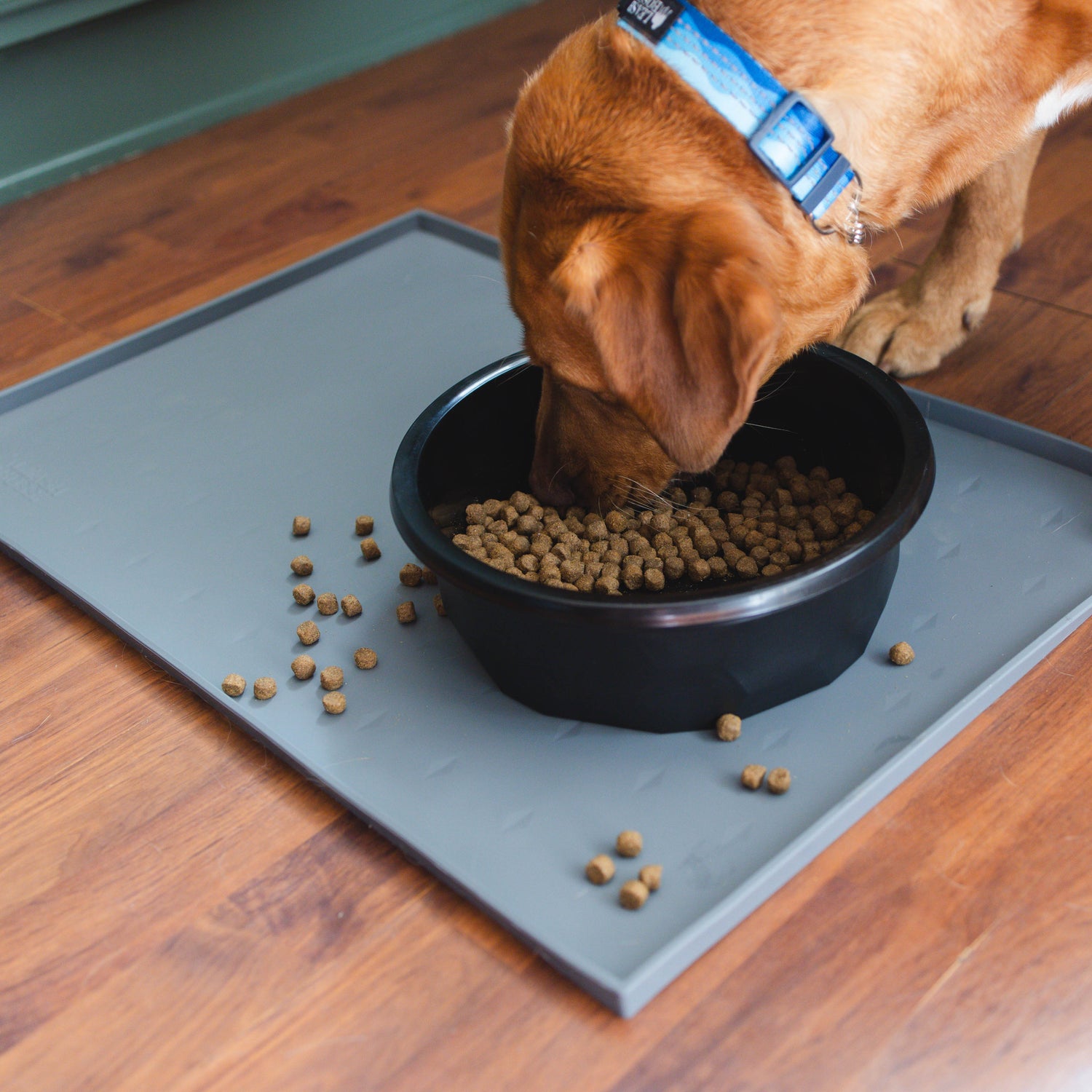 Silicone Dog Food Mat