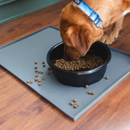 Silicone Dog Food Mat