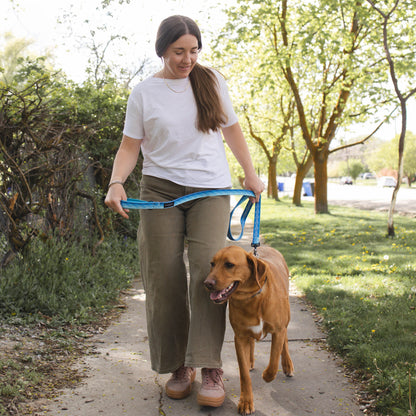 6-ft Reflective Dog Leash