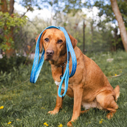 6-ft Reflective Dog Leash