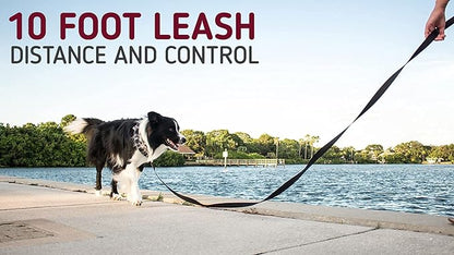 10 Foot 3/4 Inch Dog Leash with Padded Handle