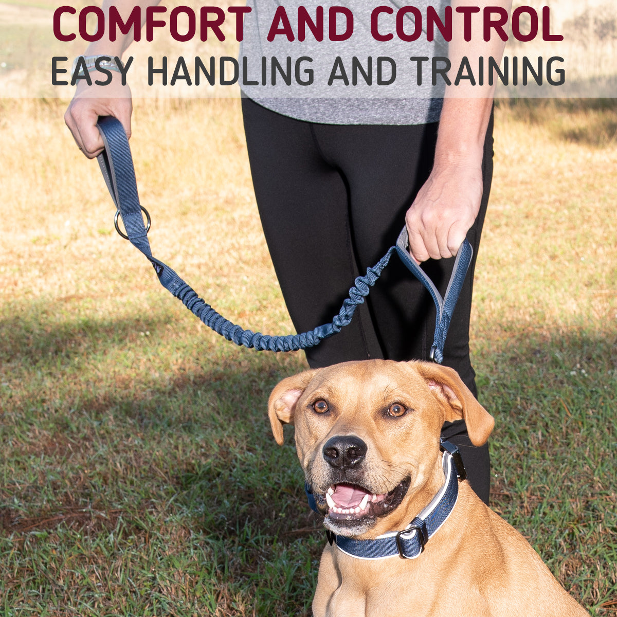 Maximize control and comfort during your dog&