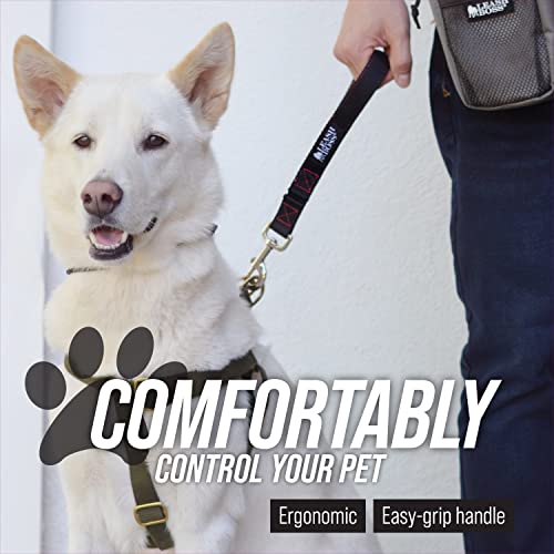 18 Inch Padded Handle Short Leash with Reflective Webbing and O-Ring