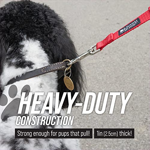 18 Inch Padded Handle Short Leash with Reflective Webbing and O-Ring