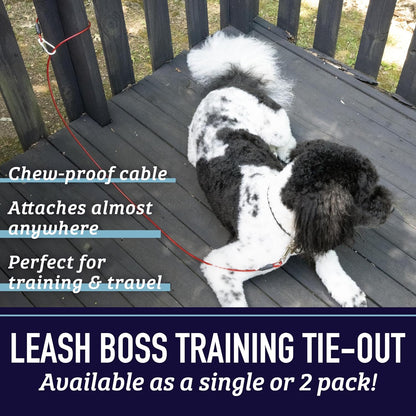 Discover a reliable 5-foot training tie-out cable, perfect for controlled outdoor sessions with your pet. This durable and weather-resistant dog leash ensures secure restraint, fostering effective training. Ideal for obedience drills, the high-quality design offers peace of mind. Elevate your pet training experience with this sturdy 5-foot tie-out cable for dogs.