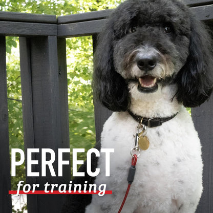 Discover a reliable 5-foot training tie-out cable, perfect for controlled outdoor sessions with your pet. This durable and weather-resistant dog leash ensures secure restraint, fostering effective training. Ideal for obedience drills, the high-quality design offers peace of mind. Elevate your pet training experience with this sturdy 5-foot tie-out cable for dogs.