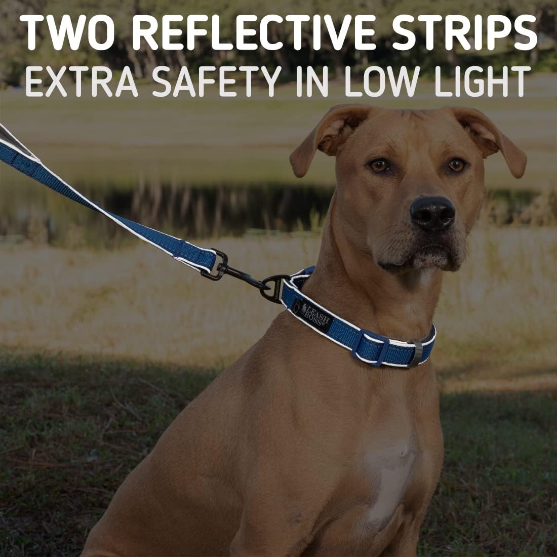 Double-Thick 6 Foot Reflective Leash with Padded Handle