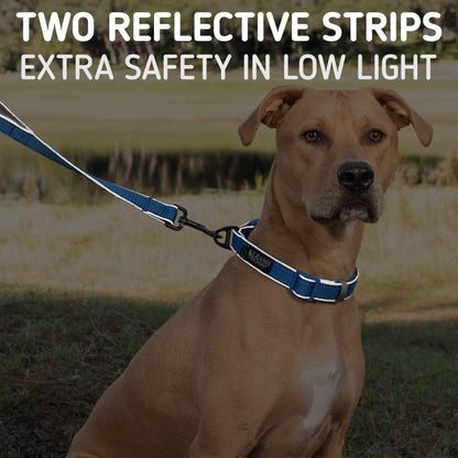 Double-Thick 6 Foot Reflective Leash with Padded Handle