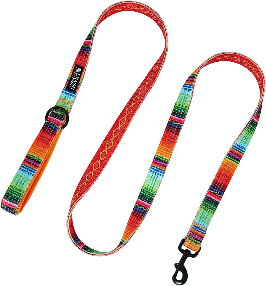 Double-Thick 6 Foot Reflective Leash with Padded Handle - Pattern Collection